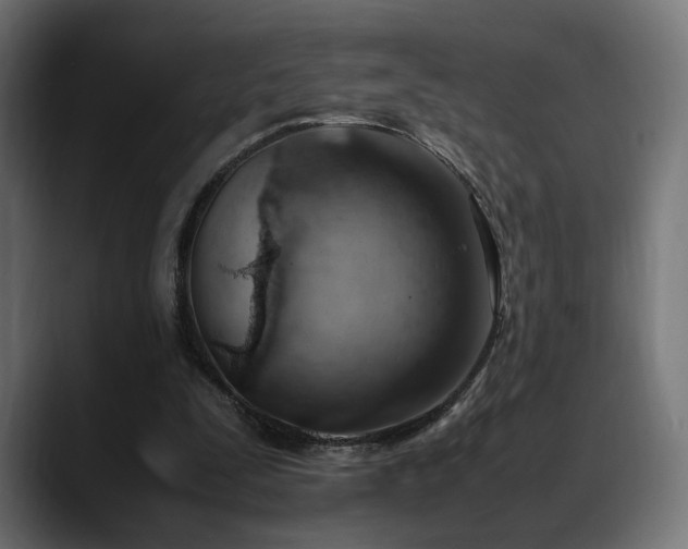 X0000088580295200705251143