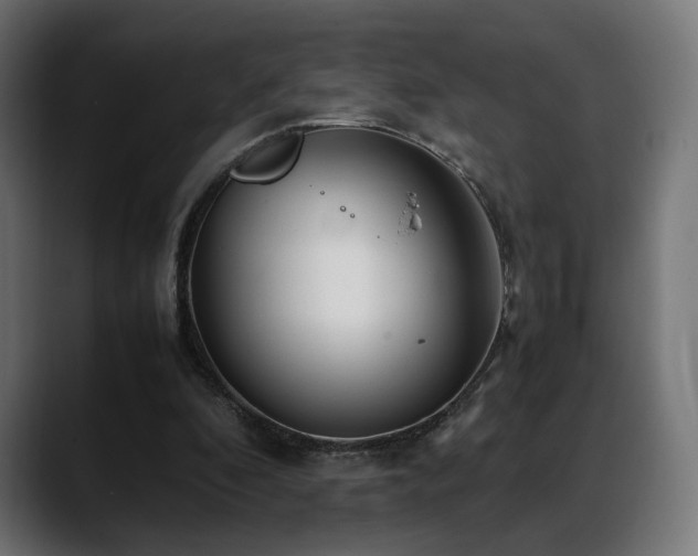 X0000088580296200705251143