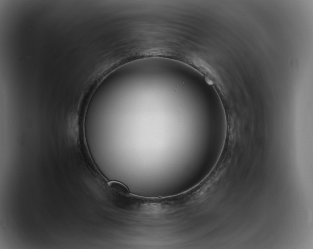 X0000088580298200705251143