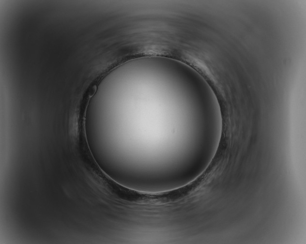 X0000088580299200705251143