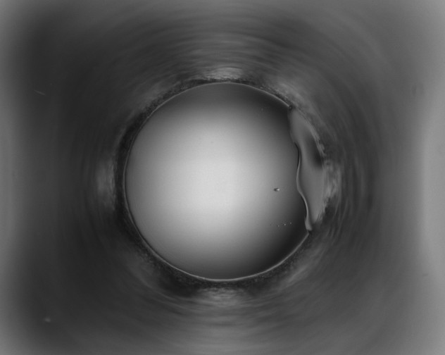 X0000088580300200705251143