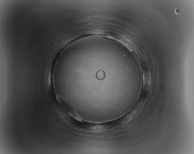 X0000088580301200705251143