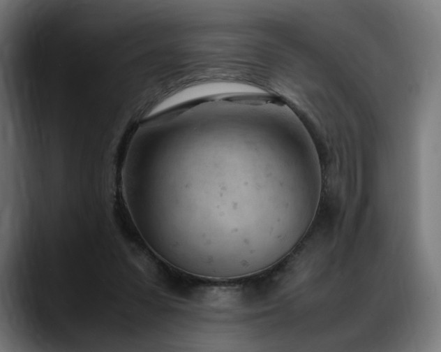 X0000088580303200705251143