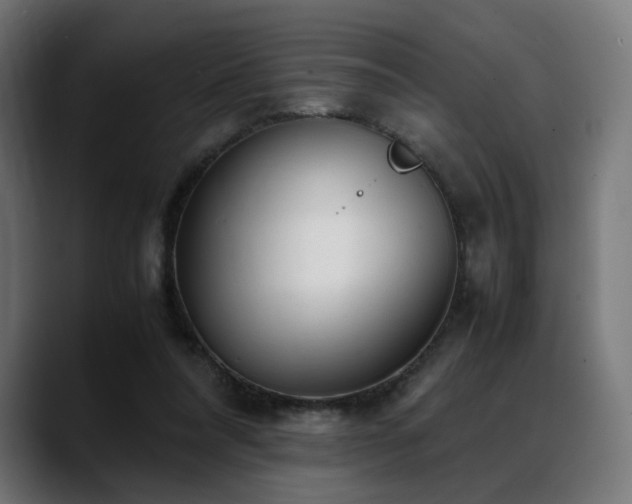 X0000088580304200705251143