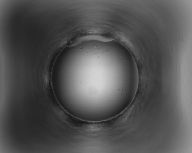 X0000088580305200705251143