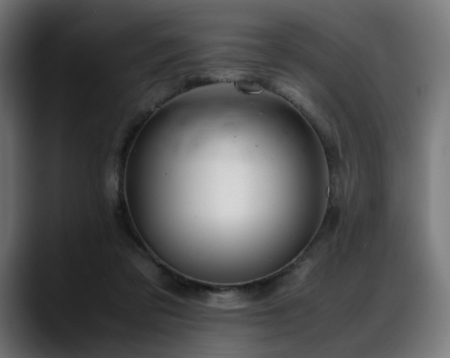 X0000088580309200705251143