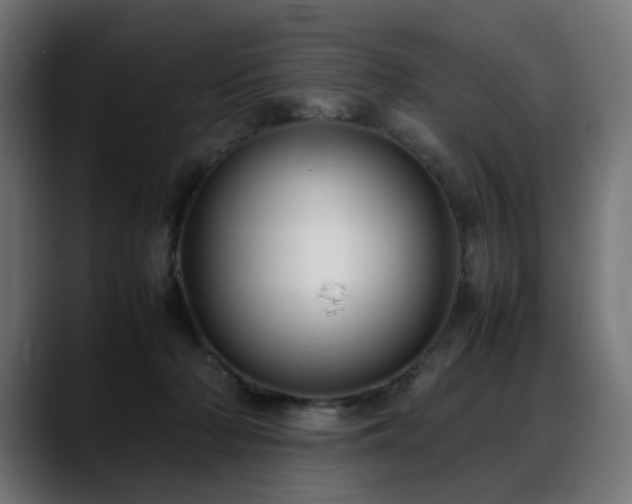 X0000088580318200705251143