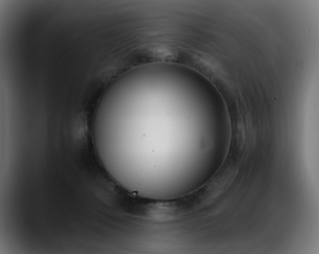 X0000088580320200705251143