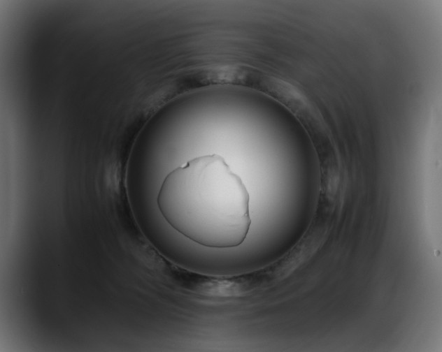 X0000088580326200705251143