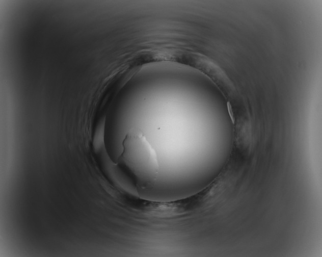 X0000088580329200705251143