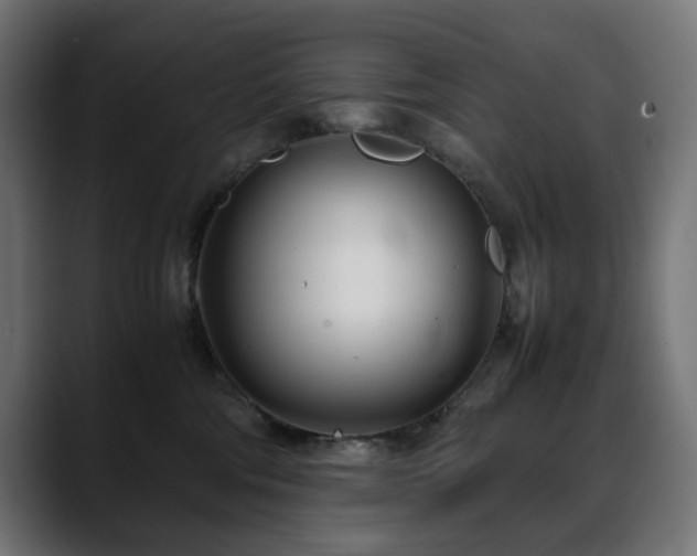 X0000088580330200705251143