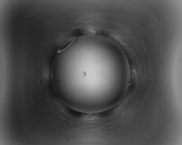 X0000088580331200705251143