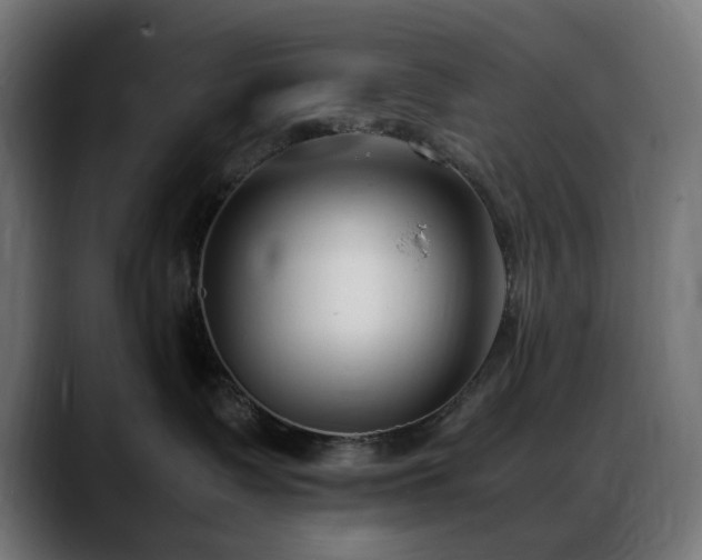 X0000088580335200705251143