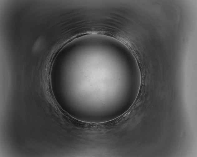 X0000088580337200705251142