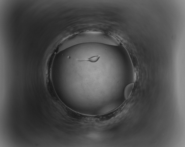 X0000088580339200705251142