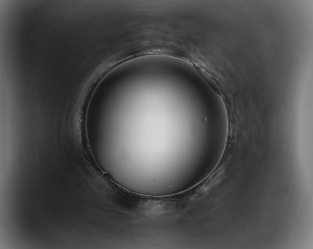 X0000088580341200705251142