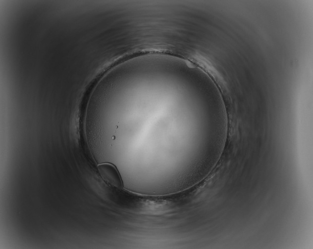 X0000088580346200705251142