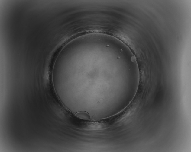 X0000088580347200705251142