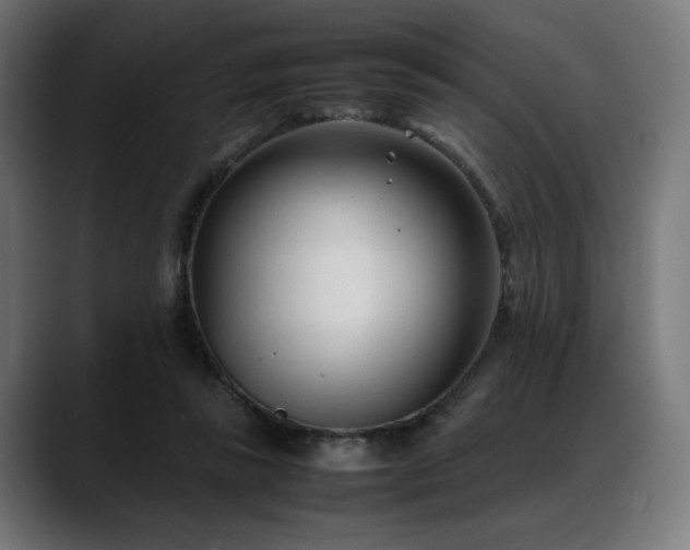 X0000088580355200705251142