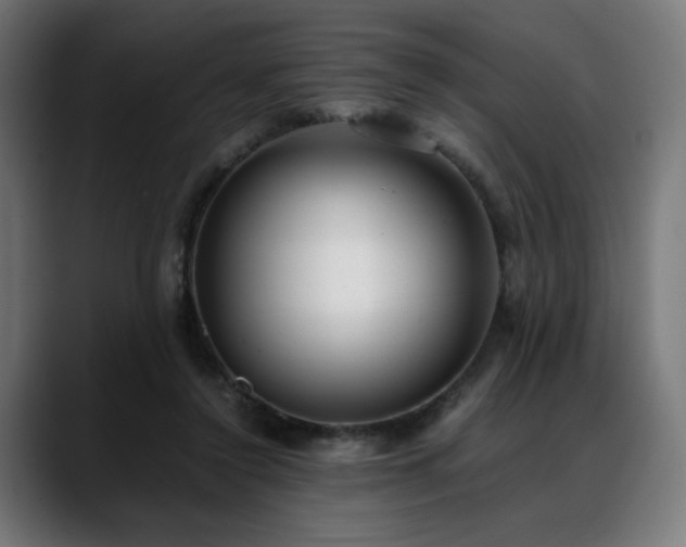 X0000088580356200705251142