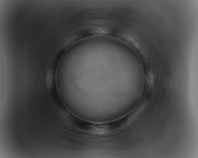 X0000088580359200705251142