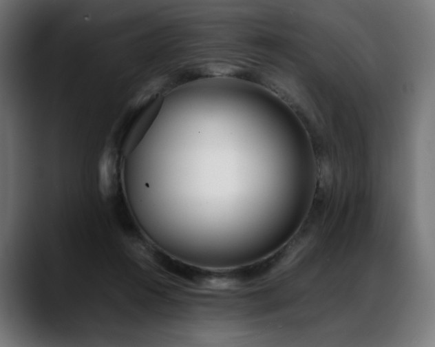 X0000088580360200705251142