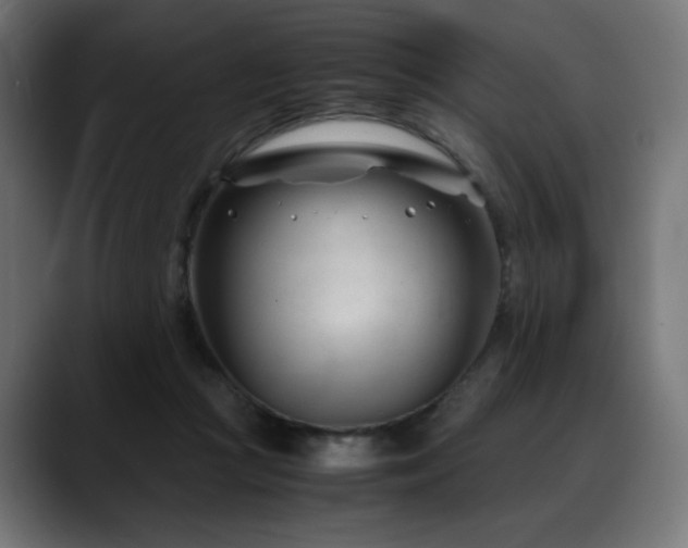 X0000088580361200705251142