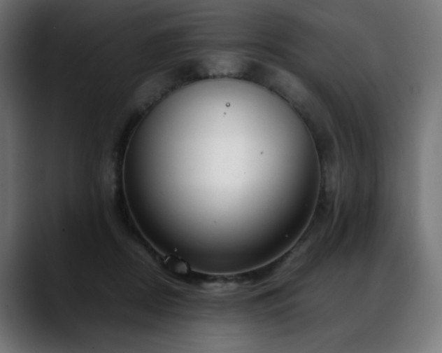 X0000088580362200705251142