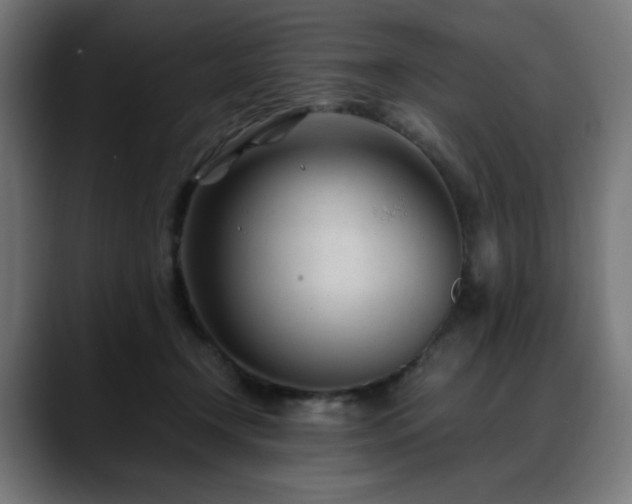 X0000088580366200705251142