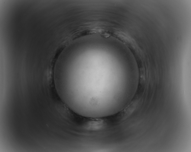 X0000088580369200705251142