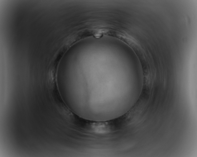 X0000088580373200705251143