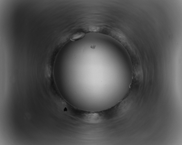 X0000088580374200705251143