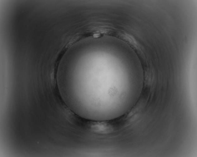 X0000088580377200705251143