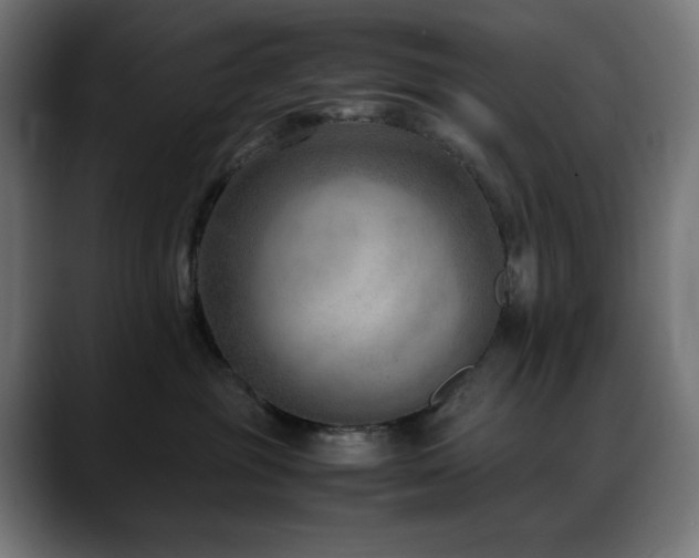 X0000088580381200705251143