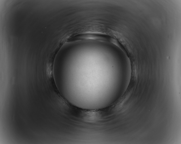 X0000088580383200705251143