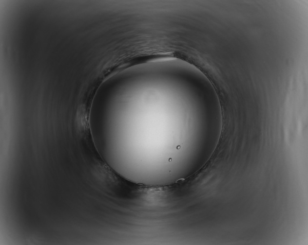 X0000088580384200705251143