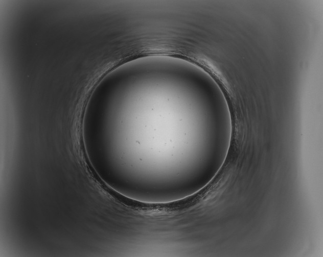 X0000088580385200705251142