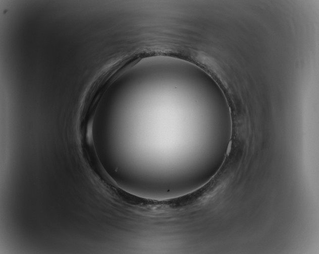 X0000088580395200705251142