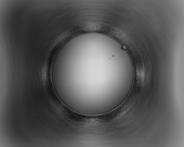 X0000088580396200705251142