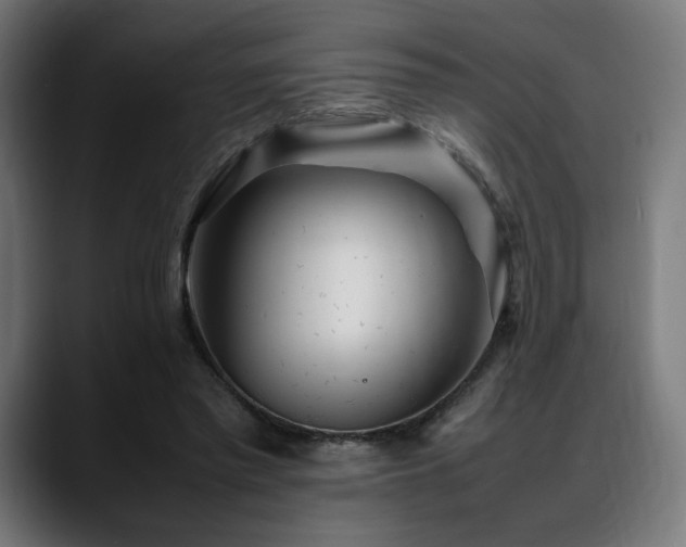 X0000088580397200705251142