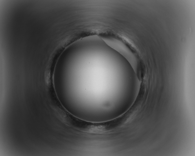 X0000088580403200705251142