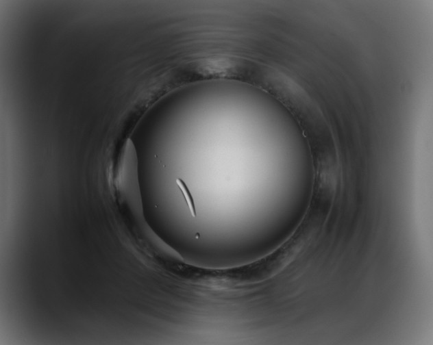 X0000088580408200705251142