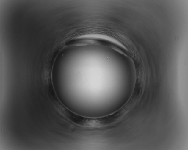 X0000088580409200705251142