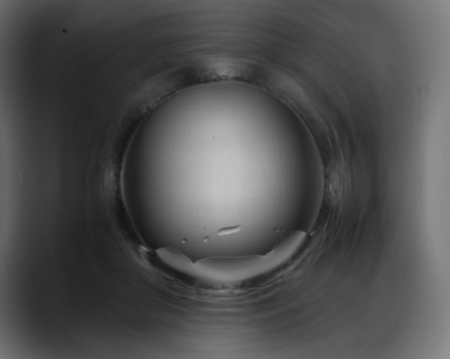 X0000088580410200705251142