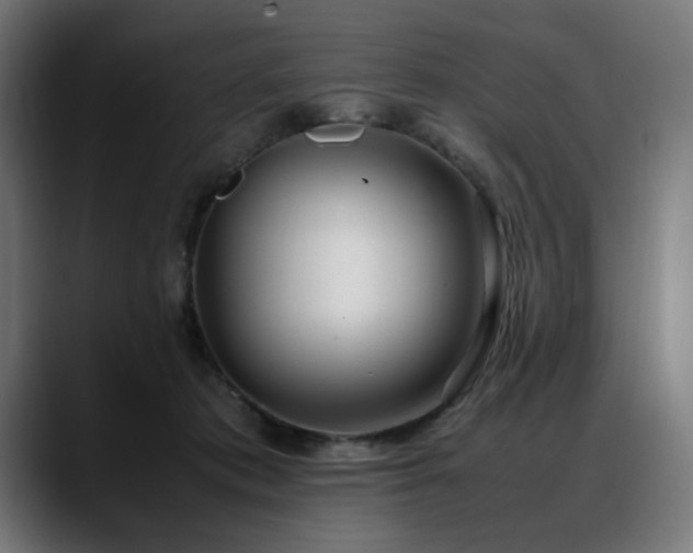 X0000088580413200705251142