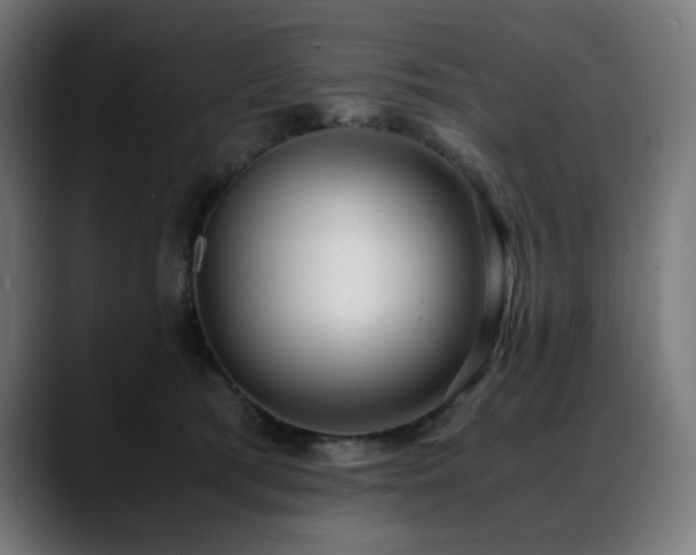 X0000088580417200705251142