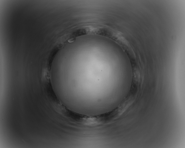 X0000088580419200705251142