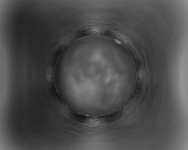 X0000088580423200705251142