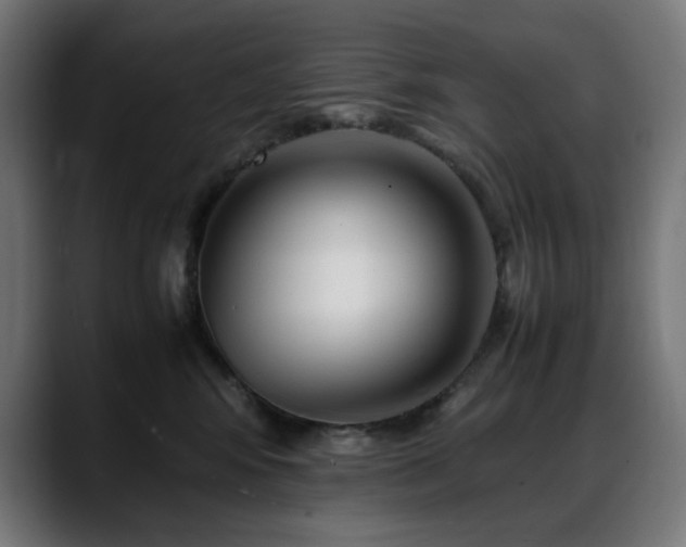 X0000088580424200705251142