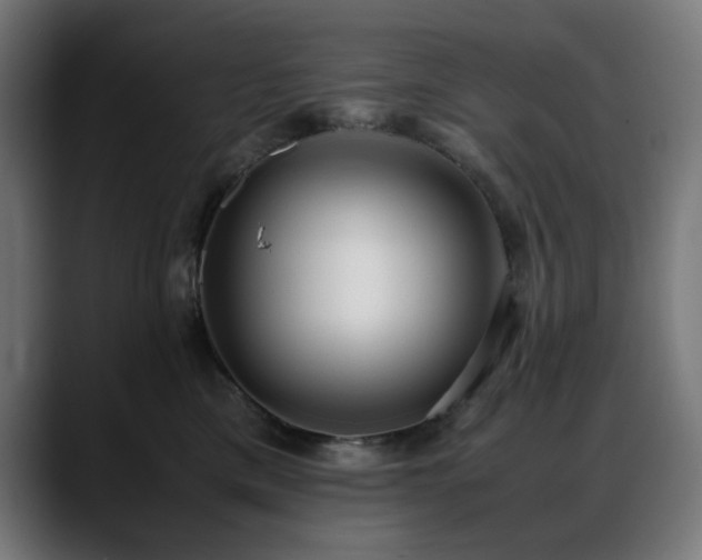 X0000088580425200705251142